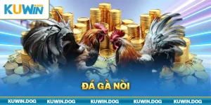 Đá Gà Nòi - Trận Chiến Đỉnh Cao Cho Người Yêu Sự Kích Thích