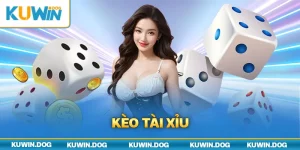 Kèo Tài Xỉu - Thông Tin Về Cách Chơi Và Kinh Nghiệm Cá Cược