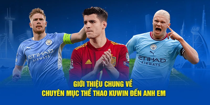 Sảnh thể thao Kuwin chất lượng 2024